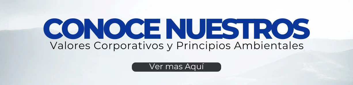 Valores Coorporativos y Principios Ambientales 