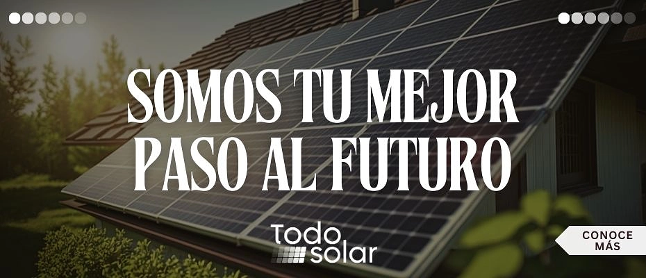 ¡Somos tu socio clave para un futuro más verde y sostenible!